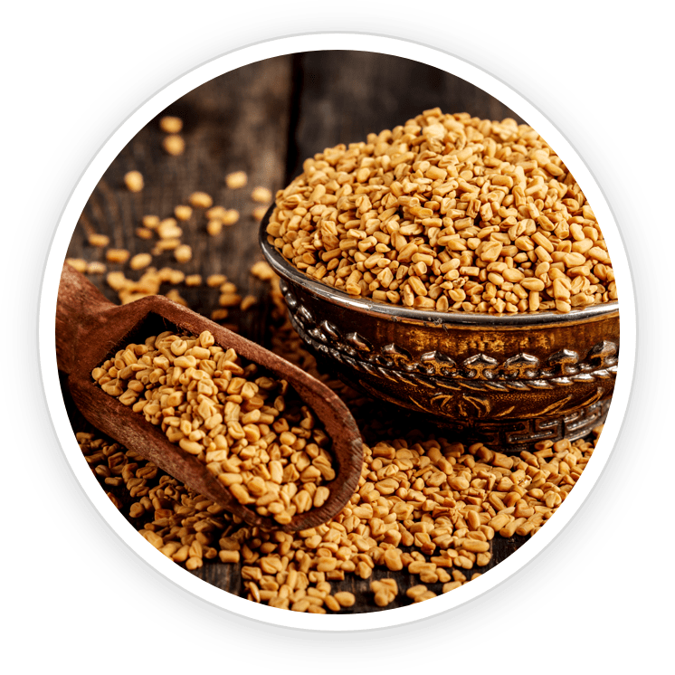 Fenugreek