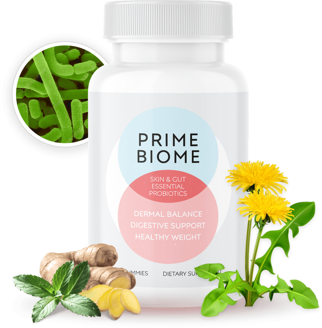 Is PrimeBiome a Scam or Legit? (Alert)