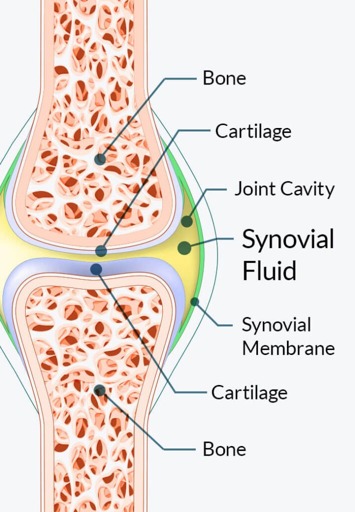 Hyaluronan joint Genesis
