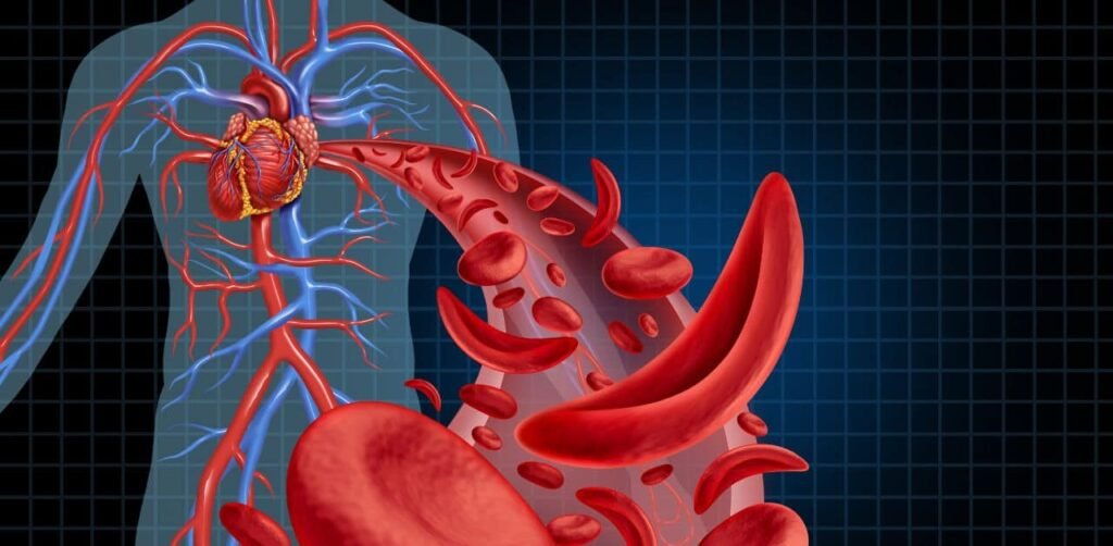 How Does VitaSeal Work