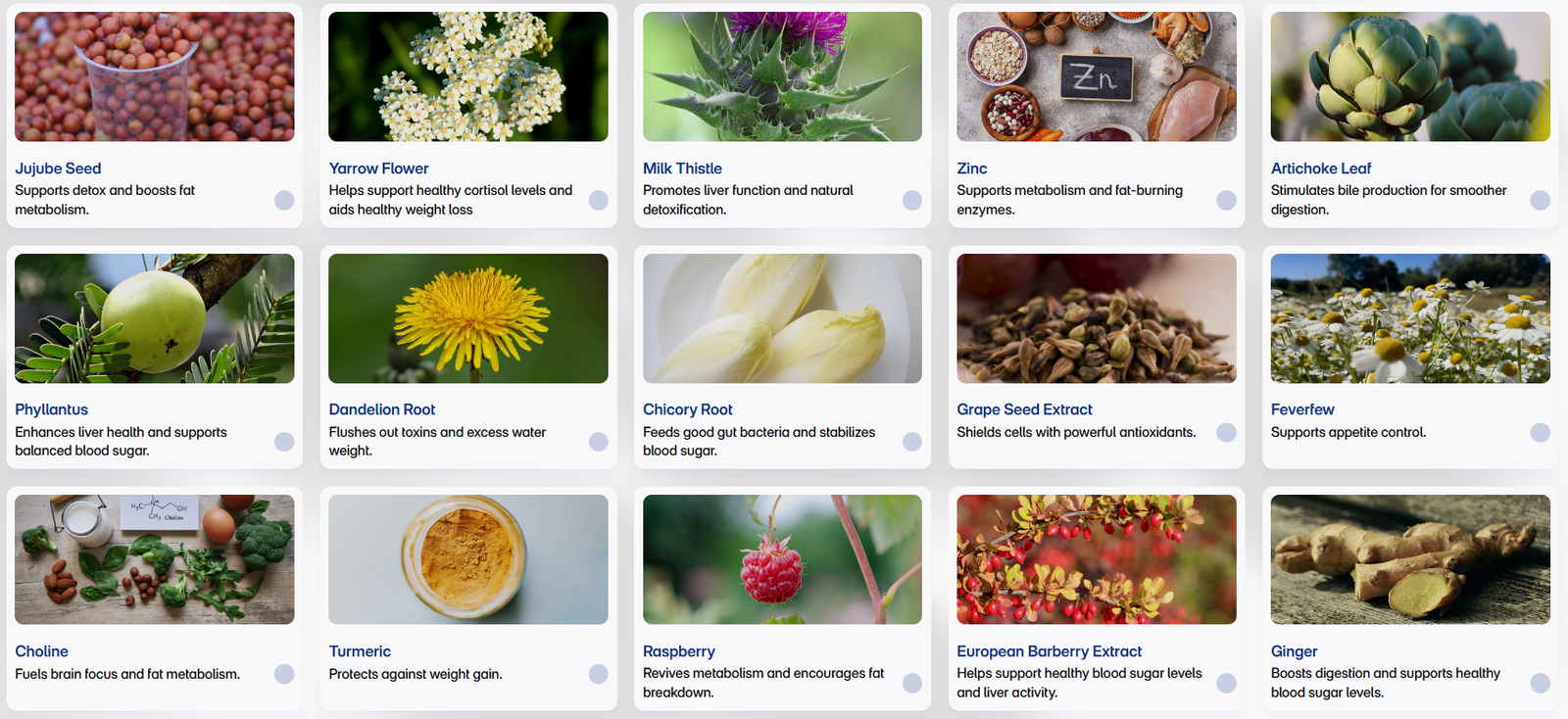 Ingredients Label LivCare